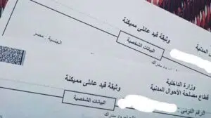 قيد عائلي