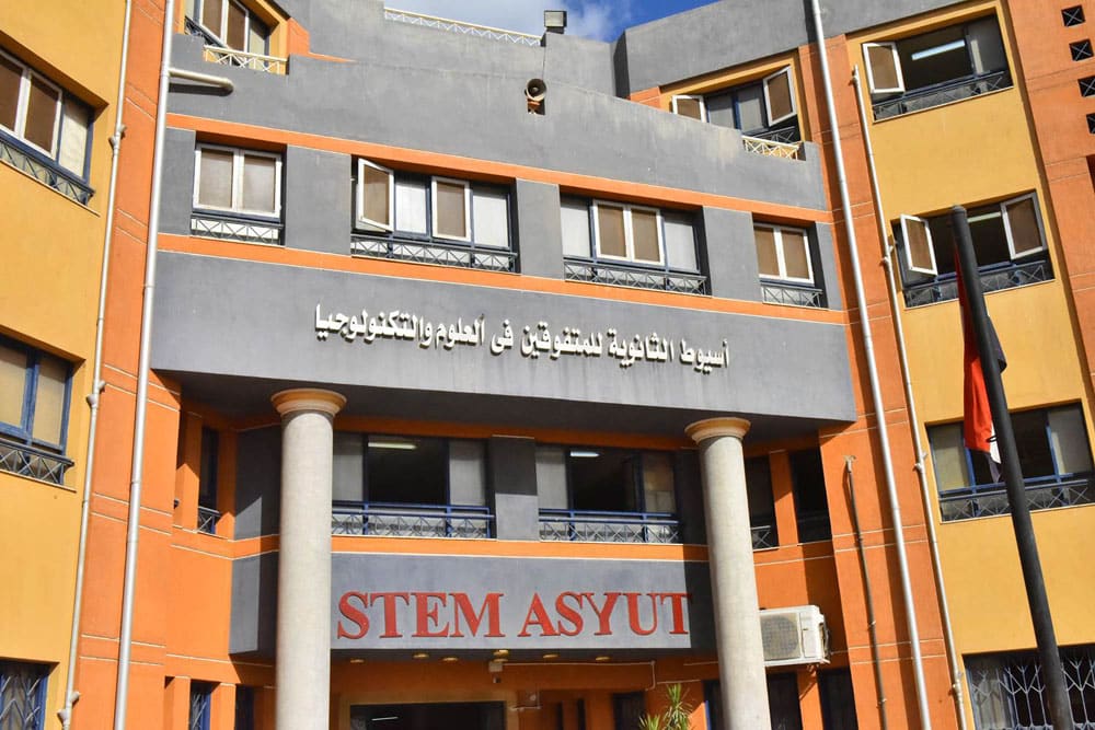 ستيم