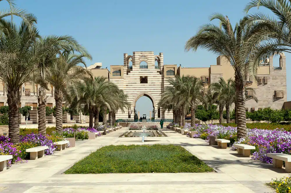 الجامعة الأمريكية