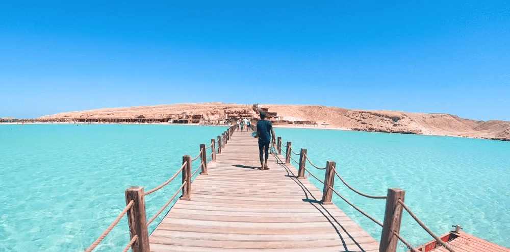 عيد الميلاد